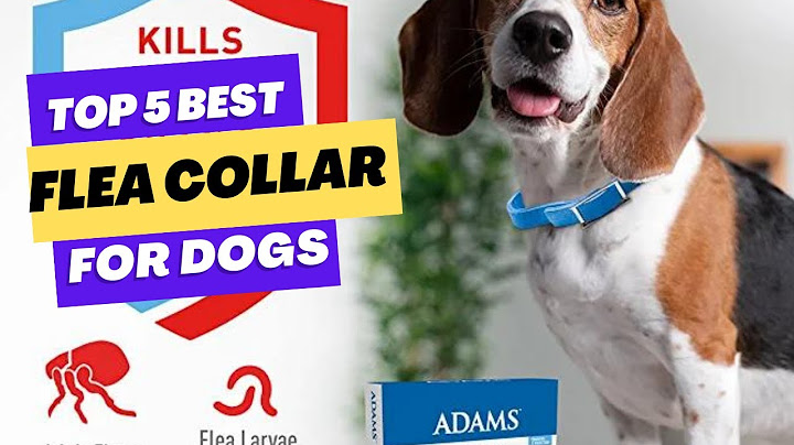 Dog flea and tick collar reviews