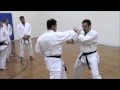 How To Shotokan: Elements of Tekki Sandan