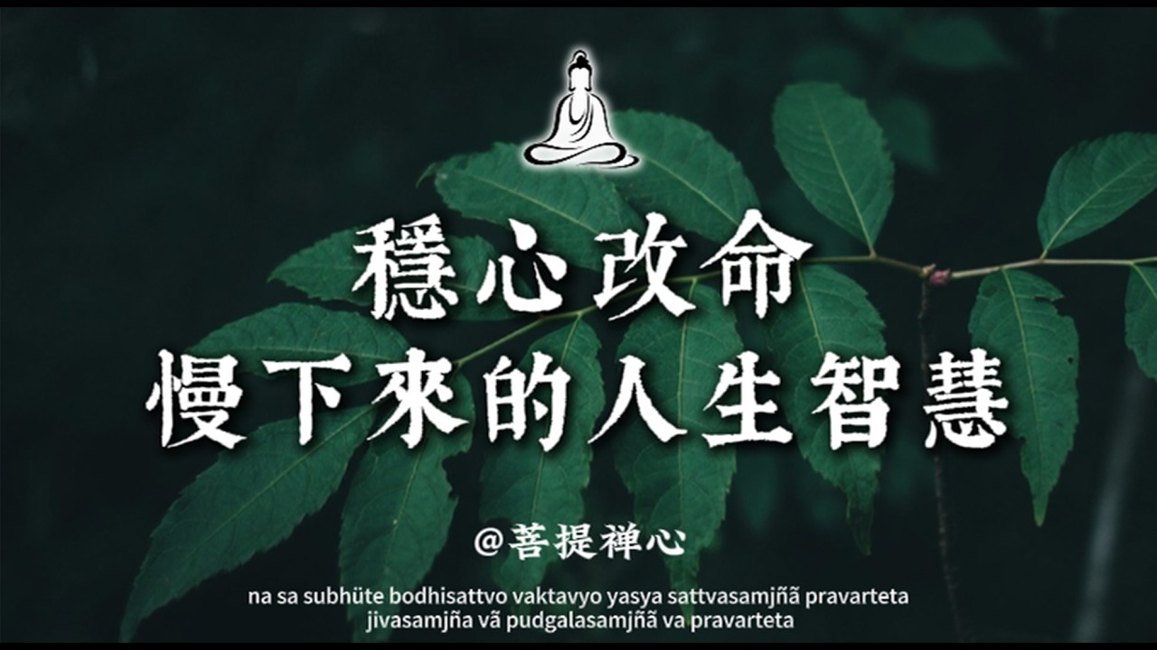 你越著急，命運越不理你，慢下來，是一個人最深的修行｜菩提禪心#佛学 #人生感悟 #修行 #修心修行 #國學 #治愈