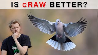 Was I WRONG? Comparison of cRAW and RAW using the Canon R5