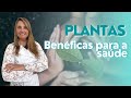 QUAIS SÃO AS PLANTAS QUE FAZEM BEM À NOSSA SAÚDE - @draelizetekaffer