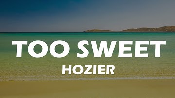 Hozier - Too Sweet (Official Lyric Video)