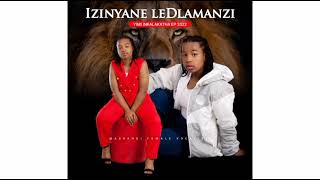 Izinyane Le Dlamanzi noma Ngakona