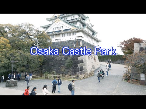Escape to Osaka Castle Park: Nature's Delight in the Heart of the City