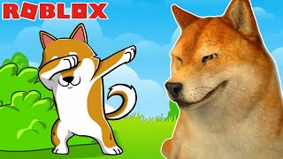 24 HORAS SENDO UM CACHORRINHO NO ROBLOX | Doge Story screenshot 2