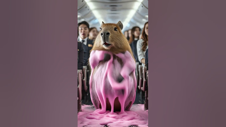 卡皮巴拉在飞机上揉出好多泡沫  Capybara rubbed a lot of foam on the plane#capybara #funny #animals #カピバラさん
