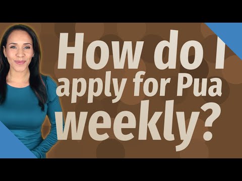 How do I apply for Pua weekly?
