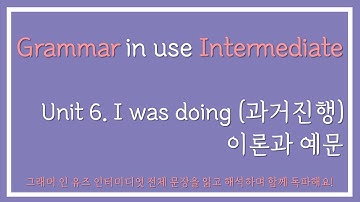 그래머 인 유즈 인터미디엇 Unit6 (과거진행) 이론과 예문
