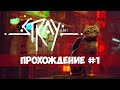 Stray - кошачье приключение - прохождение #1