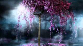 Marcman - Magic dream.wmv