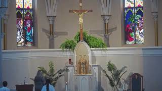 June 27, 2026 - The 13th Sunday in Ordinary Time (vigil)