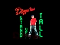 Dizzee rascal  stand up tall instrumental