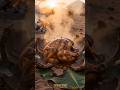 They Covered Chicken in Clay… Then Smashed It Open 😳🔥🍗