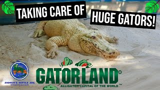 Feeding the Animals at Gatorland!