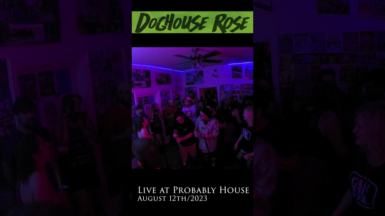 @doghouserose | Probably House | August 12th/2023 #shorts