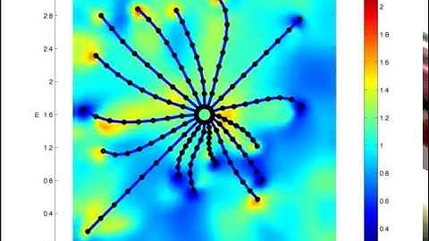 Microtubules continuum dependency