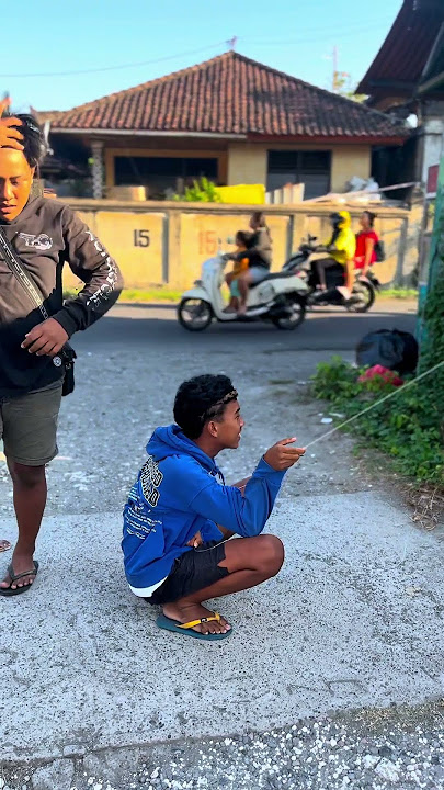 layangan bebean 2,5 m, menyala wiii