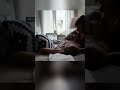 Поменяет ли она всё за сайт?