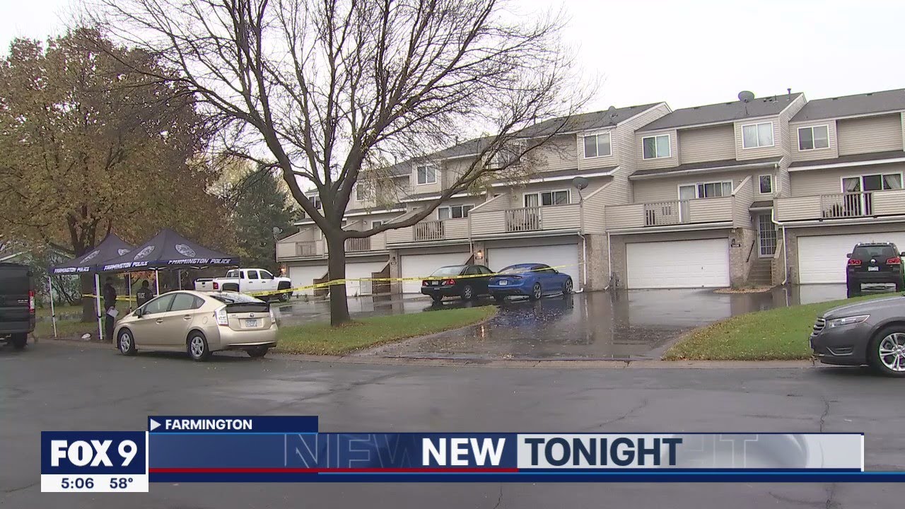 Farmington 26-year-old man faces three murder charges | FOX 9 KMSP ...