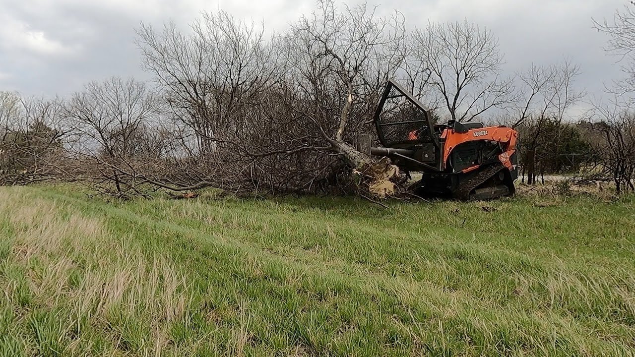 Kubota SVL 95-2 and Ground Force Tree Saw Side Clearing Fence Row ...