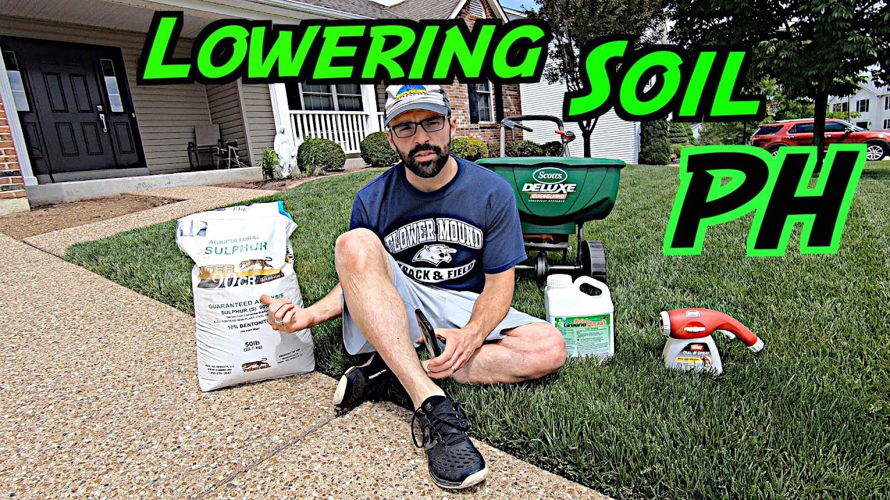 How Do I Apply Elemental Sulfur To My Lawn?