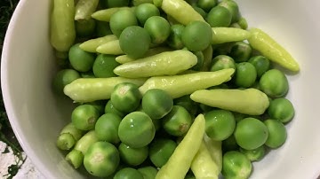 Ẩm thực: Giới thiệu Đặc sản Tây nguyên - Món Lá mì xào