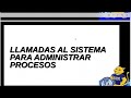 Llamadas SO