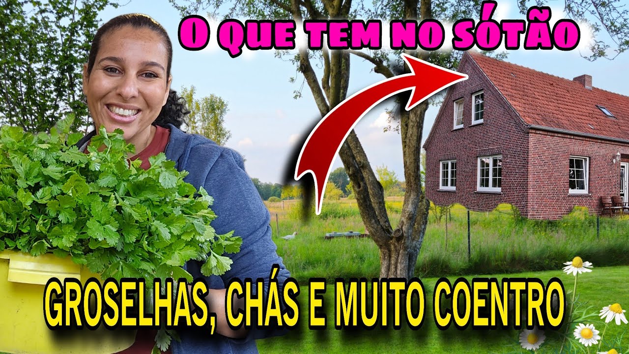 Lugares na casa que vocês não conhecem | Frutas e chás do quintal | Dia em família