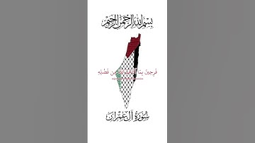 سورة آل عمران - اكسبلور#quran#surah #لايك#قرآن#راحة_نفسية#qurantilawat#tilawat#islam #ترند
