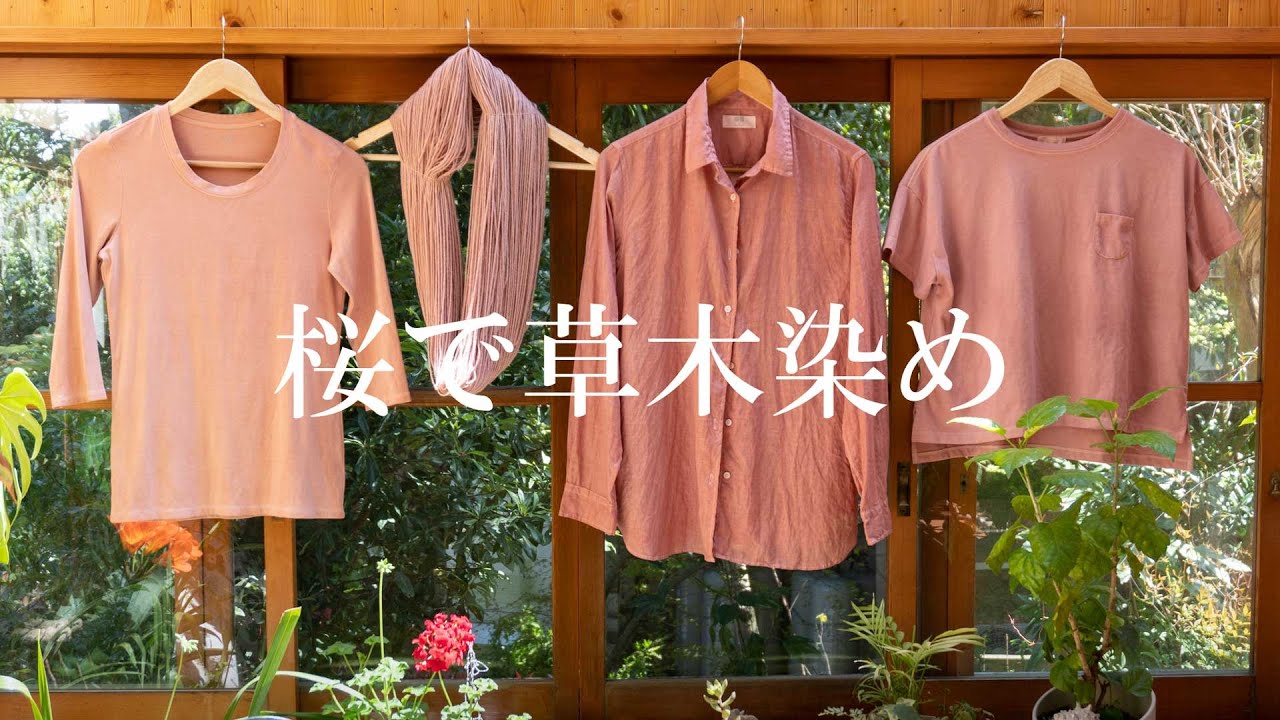 桜でシャツを草木染め！毎日着る服を自分で染めました – 淡路島マンモス