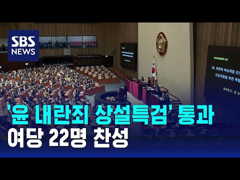 '윤 내란죄 상설특검' 통과…여당 22명 찬성 / SBS