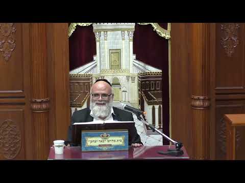 הלכה | הרב פנחס רז | הלכות כתיבת סת"ם ופרשת השבוע - יד' אלול -תשפ"ד