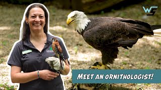 Ornithologist (Bird Scientist) | WunderSTEM Ep. 102 | Career Exploration