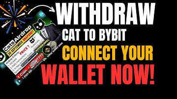 WITHDRAW CAT TO BYBIT. CONNECT YOUR WALLET #cat