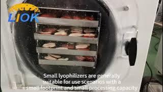 HFD series small freeze dryer