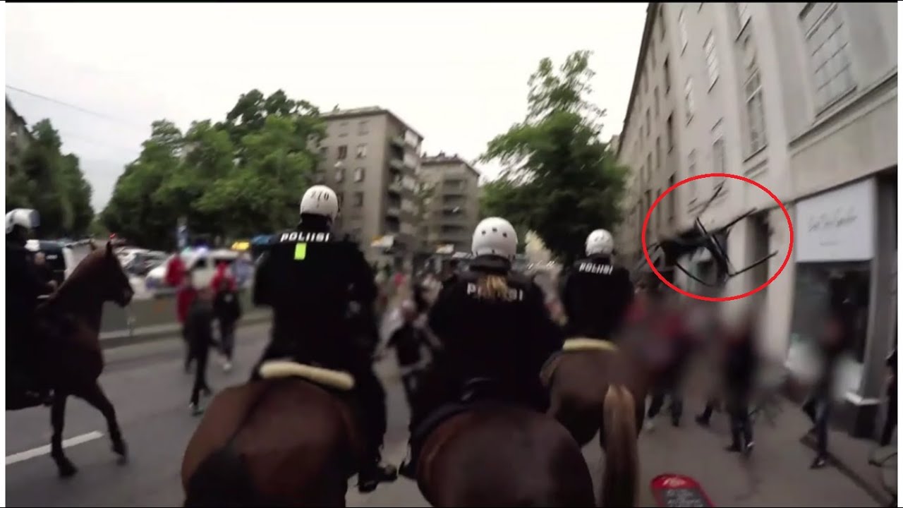 Poliisihevonen saa tuolista ja muita ratsupoliisin tehtäviä