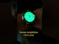 Vostok Amphibian Full Lume