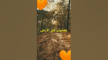 (وَعِبَاْدُ الرَّحْمَٰنْ)،القارئ الشيخ عبد الناصر حرك🌿♥️🧡