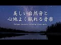 【睡眠導入】美しい自然音と心地よく眠れる音楽