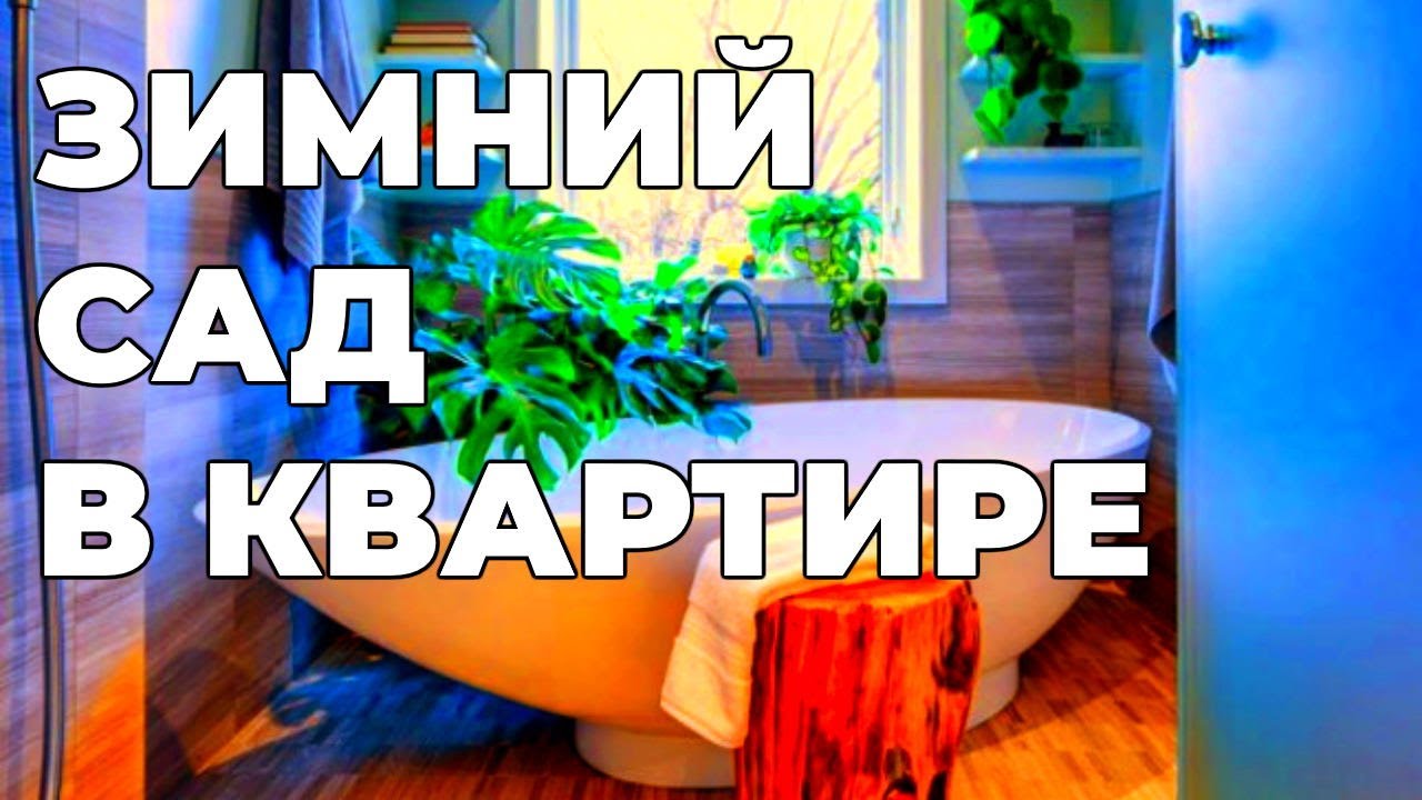 Смотреть видео