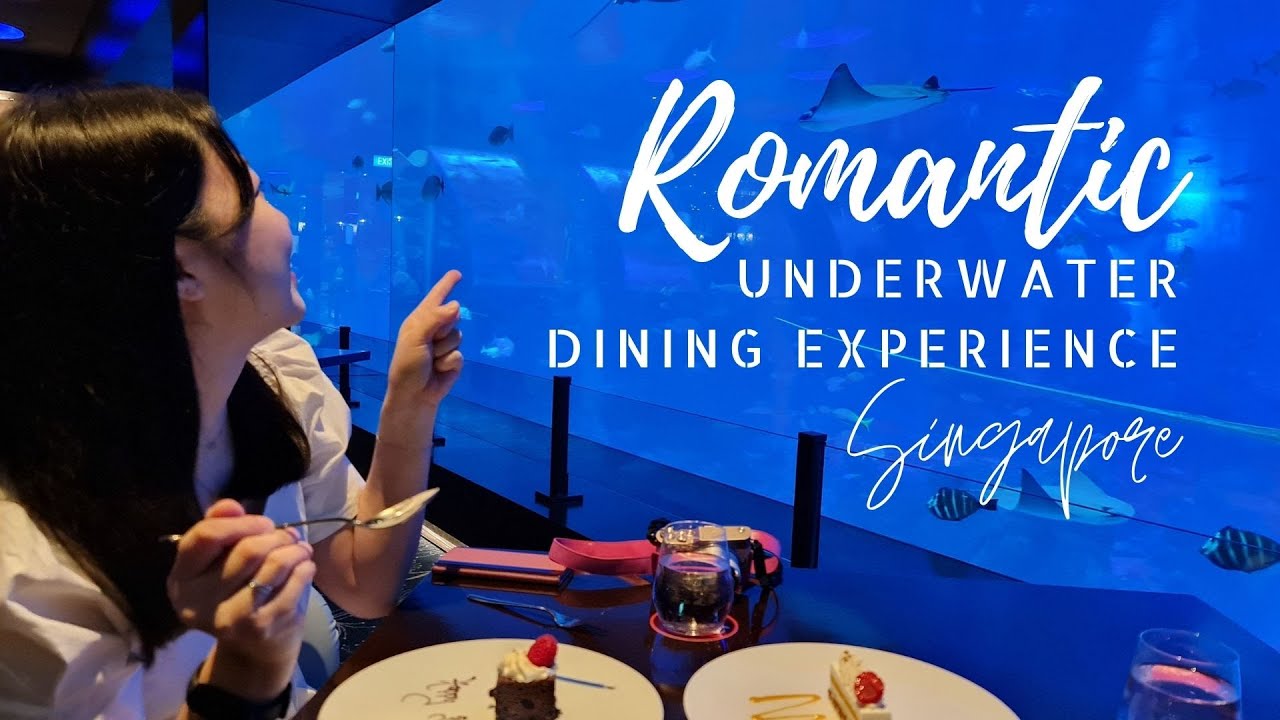 Romantic Underwater Dining Experience Ocean Restaurant at S.E.A