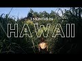 3 months in Hawaii | WWOOFING