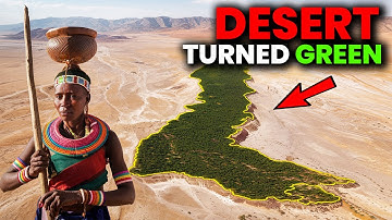 Ze herstelden een woestijn zonder ook maar één boom te planten