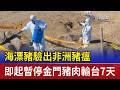 海漂豬驗出非洲豬瘟 即起暫停金門豬肉輸台7天