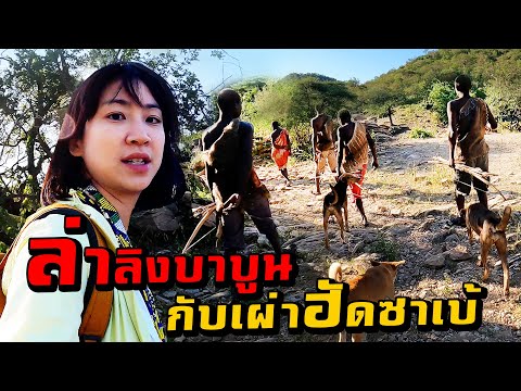 วีดีโอ: 6 สถานที่พักผ่อนที่เป็นมิตรกับสุนัขทั่วโลก