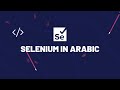 Find element by name