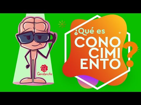 Video: ¿Qué se entiende por conocimiento es pegajoso?