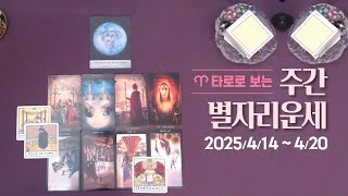 타로 | 25년 4월 셋째주 별자리운세 (4/14-4/20)