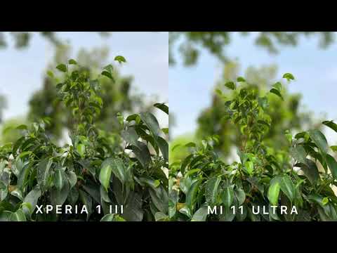 Sony Xperia 1 III vs Xiaomi Mi 11 Ultra Camera Comparision | Xperia 1 Mark 3