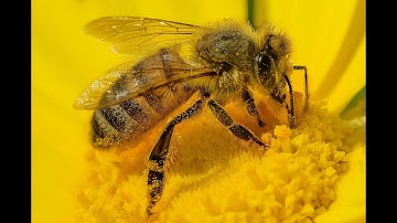 Jon Sundell - Read, Renew, Repeat Sum Reading Prog 2024 - new songs in progress